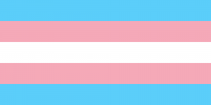 跨性別 Transgender / TG